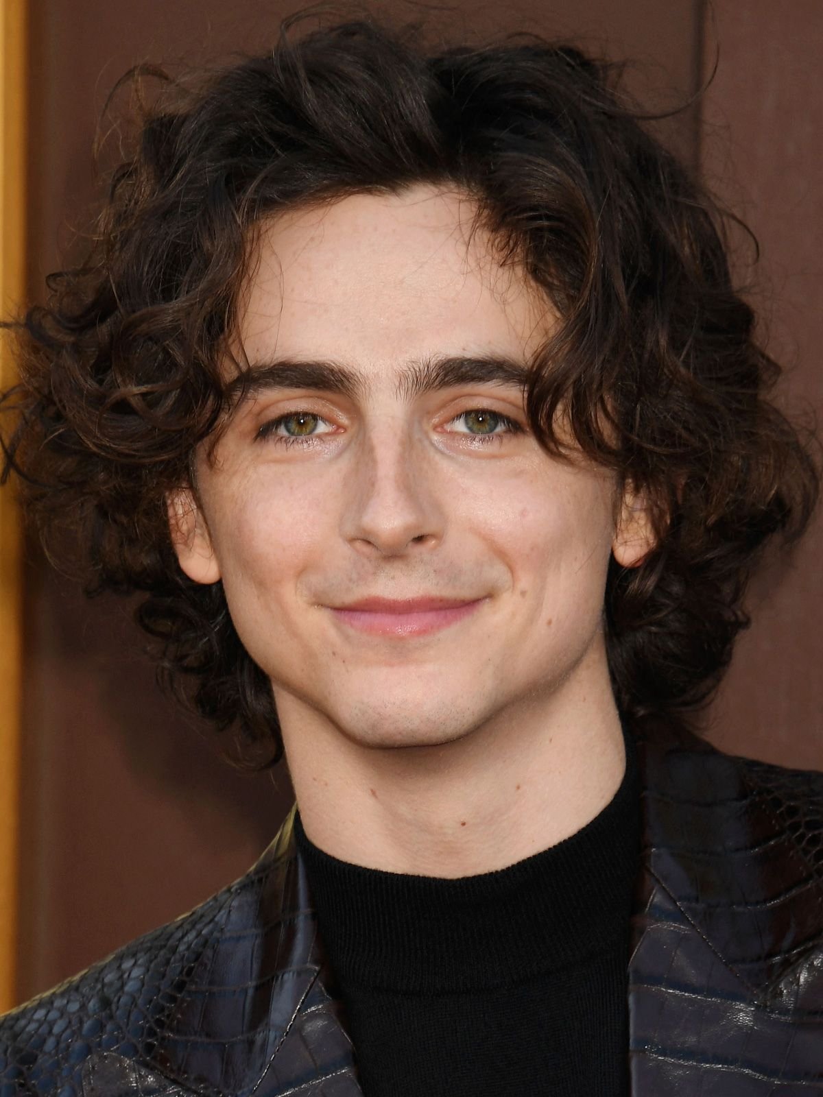 Timothée Chalamet Net Worth: Actor’s Rising Fortune