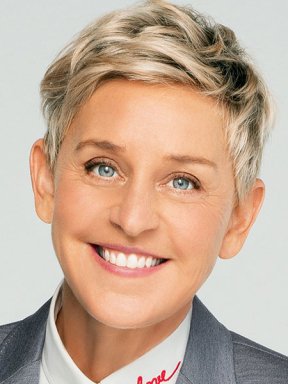 Ellen DeGeneres Net Worth: TV Star's Massive Fortune