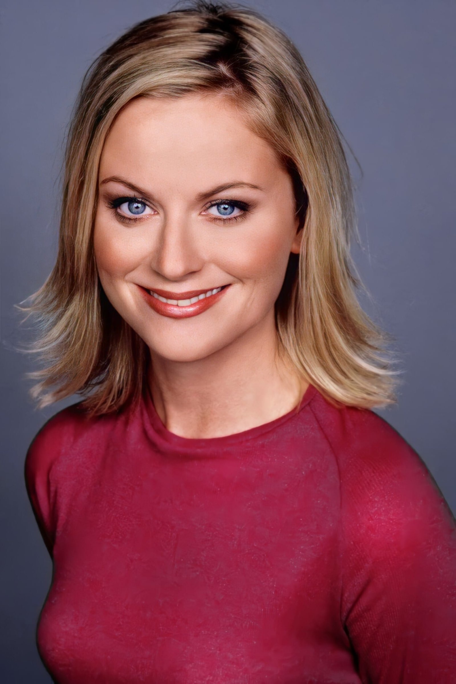 Amy Poehler Net Worth: Comedy Star's Earnings
